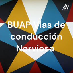 Podcast thumbnail for BUAP Vias de conducción Nerviosa