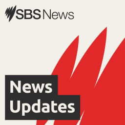 Podcast thumbnail for SBS News Updates