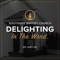 Podcast thumbnail for Delighting In The Word