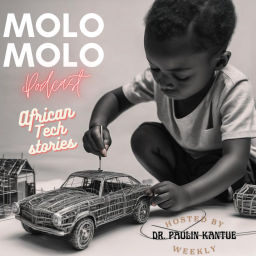 Podcast thumbnail for Molomolo - African Tech Stories