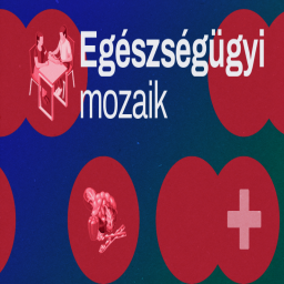 Podcast thumbnail for Egészségügyi mozaik