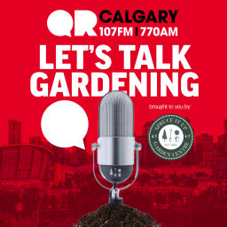 Podcast thumbnail for Let's Talk Gardening