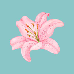 Podcast thumbnail for lilies and conversations