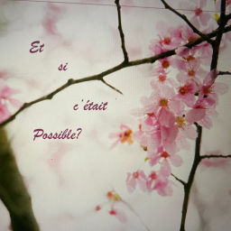 Podcast thumbnail for Et si c'était possible?