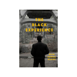 Podcast thumbnail for The Black Experience
