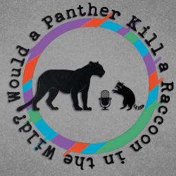 Podcast thumbnail for Would A Panther Kill A Raccoon In The Wild?