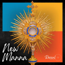 Podcast thumbnail for New Manna
