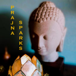 Podcast thumbnail for PRAJNA SPARKS
