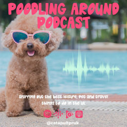 Podcast thumbnail for Poodling Around
