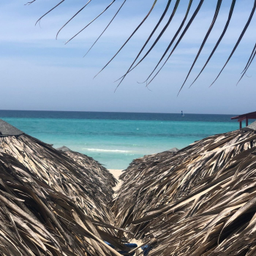 Podcast thumbnail for L'Isola del Benessere