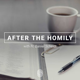 Podcast thumbnail for After the Homily