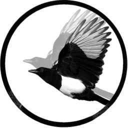 Podcast thumbnail for Magpie Podcast from Adam Roxby
