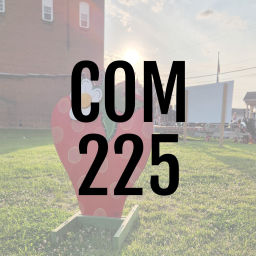 Podcast thumbnail for PPSC Organizational Communication Supplements