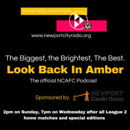 Podcast thumbnail for Look Back in Amber