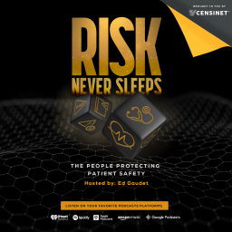 Podcast thumbnail for Risk Never Sleeps Podcast