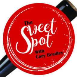 Podcast thumbnail for "SOLO SHOTS ON THE SWEET SPOT"