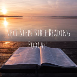 Podcast thumbnail for Next Steps Bible Reading Podcast