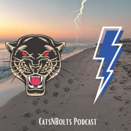 Podcast thumbnail for CatsNBolts Podcast