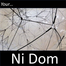 Podcast thumbnail for Your Ni Dom