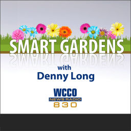 Podcast thumbnail for WCCO's Smart Gardens