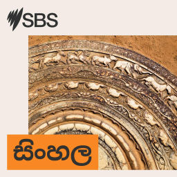 Podcast thumbnail for SBS Sinhala - SBS සිංහල වැඩසටහන