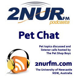 Podcast thumbnail for Pet Chat