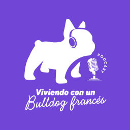 Podcast thumbnail for Viviendo con un bulldog francés