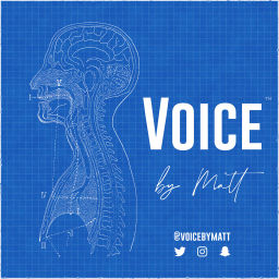 Podcast thumbnail for Voice By Matt