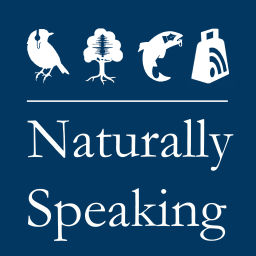 Podcast thumbnail for Naturally Speaking