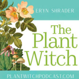 Podcast thumbnail for Plant Witch