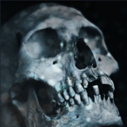 Podcast thumbnail for The Hamlet Podcast