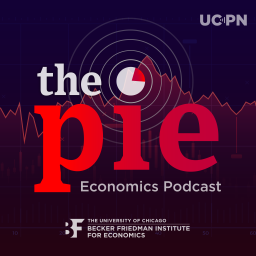Podcast thumbnail for The Pie: An Economics Podcast