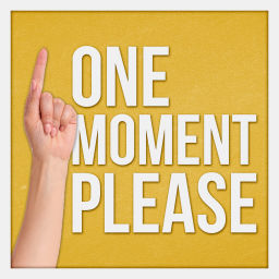 Podcast thumbnail for One Moment Please