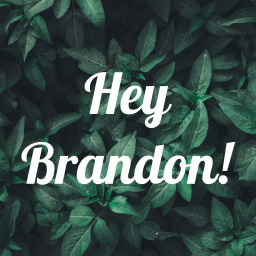 Podcast thumbnail for Hey Brandon!