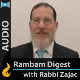 Podcast thumbnail for Rambam Digest