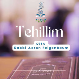 Podcast thumbnail for Tehillim Insights