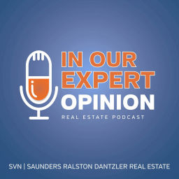 Podcast thumbnail for In Our Expert Opinion