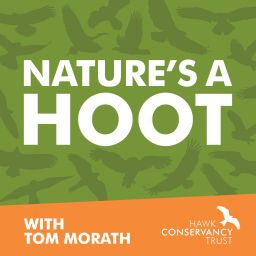 Podcast thumbnail for Nature's a Hoot