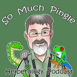 Podcast thumbnail for So Much Pingle