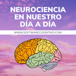 Podcast thumbnail for Neurociencia en nuestro día a día