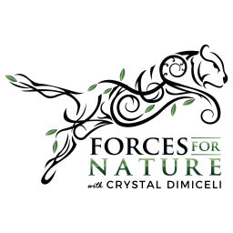 Podcast thumbnail for Forces for Nature