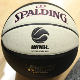 Podcast thumbnail for Basket Case : A Podcast About the WNBL