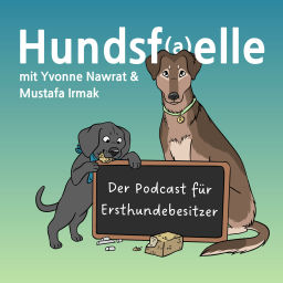 Podcast thumbnail for Hundsfaelle - Die Expertentipps für Ersthundebesitzer