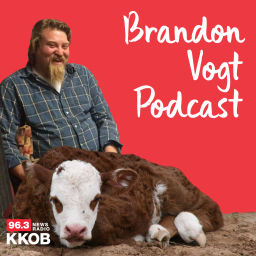 Podcast thumbnail for BV Today