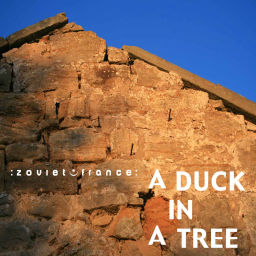 Podcast thumbnail for A Duck in a Tree
