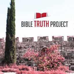 Podcast thumbnail for The bibletruthproject’s Podcast