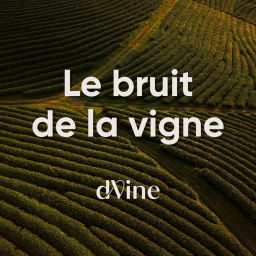 Podcast thumbnail for Le Bruit de la Vigne
