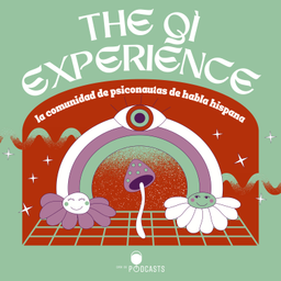 Podcast thumbnail for The Qì Experience