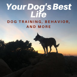Podcast thumbnail for Your Dog's Best Life