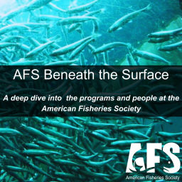Podcast thumbnail for AFS Beneath the Surface